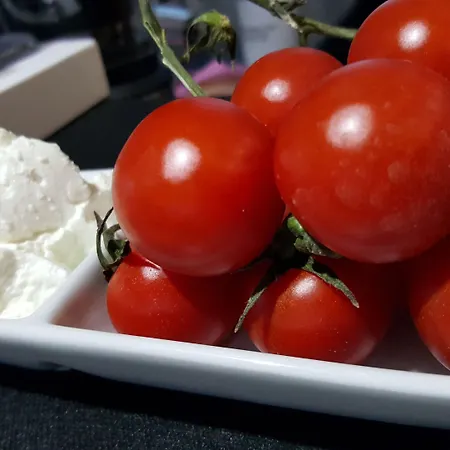 Ξενοδοχείο Fly Boutique 3*