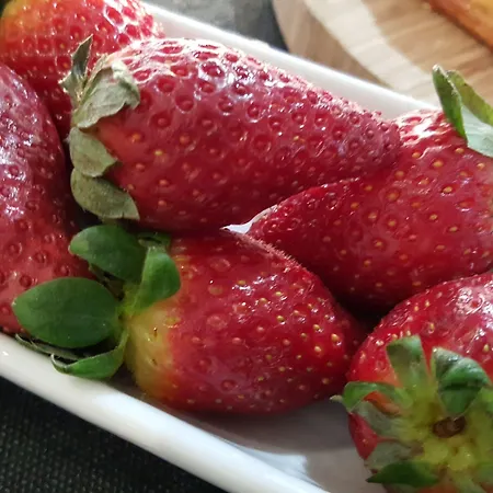 Fly Boutique Ξενοδοχείο