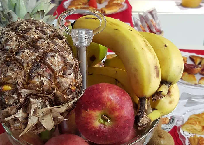 Hotel Fly Boutique 3*